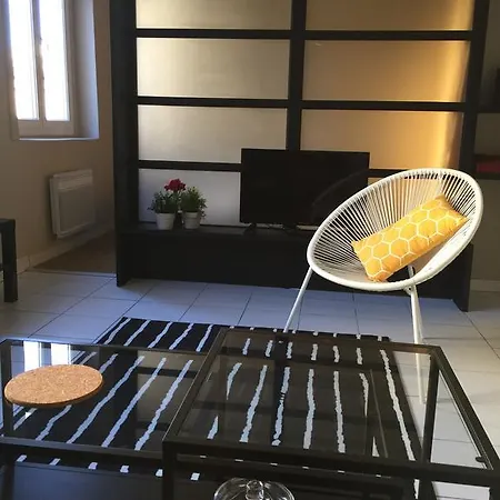 Apartment Place De La Comedie *