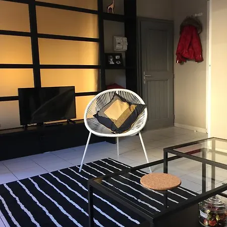 Place De La Comedie Apartment